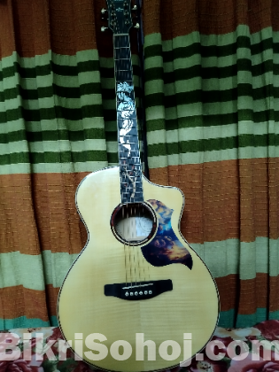 Guitar  --  Guson GF~63EFC